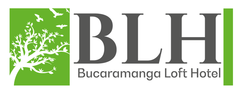 Hotel BLH